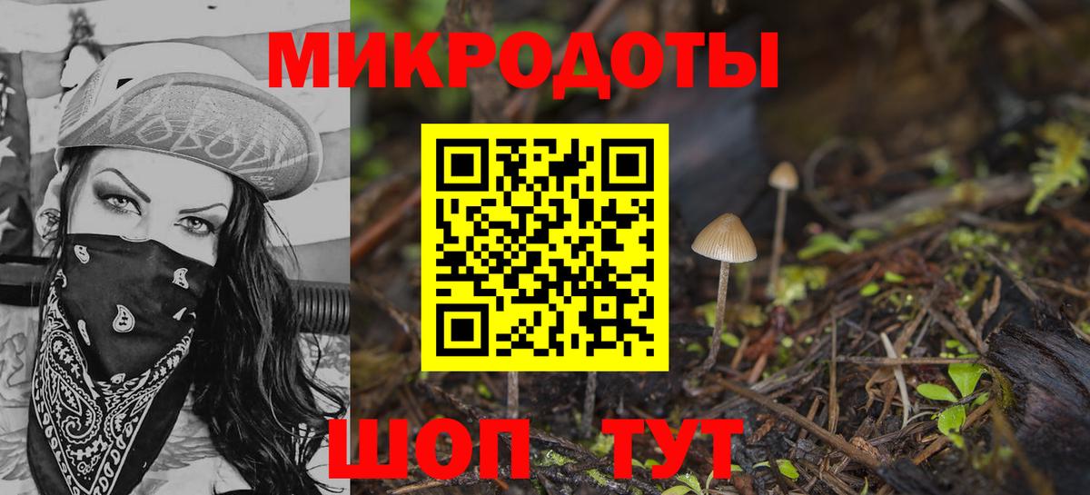 Галлюциногенные грибы GOLDEN TEACHER Тында