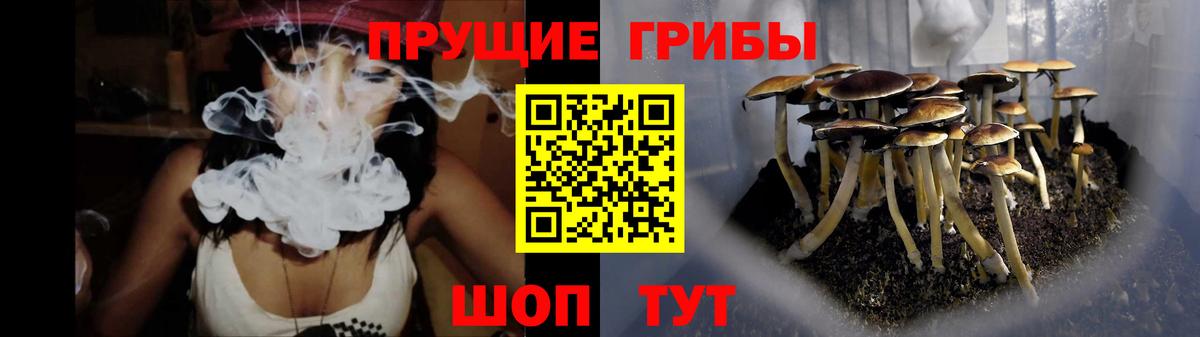 Галлюциногенные грибы Cubensis  Вход с VPN  Тында 