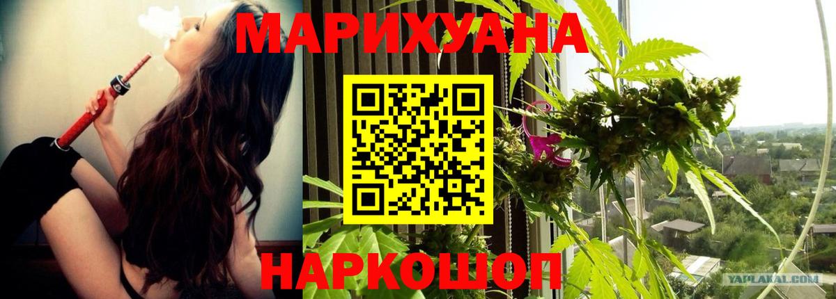 Конопля марихуана  МАРИХУАНА ГИДРОПОН  Тында  Вход с VPN  Конопля тримм 